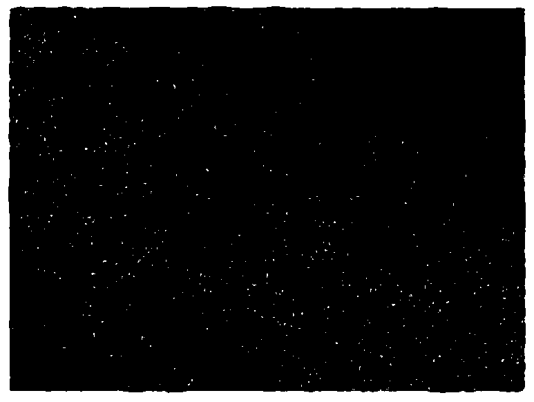 Method for rapid aided detection of micro-plastics in water environment samples by using Nile red dyeing