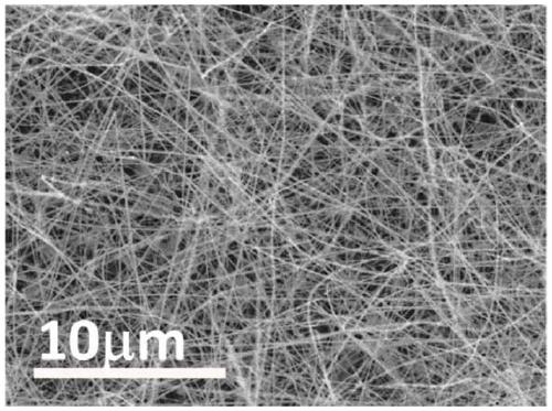 Metal oxide alloy nanowire and preparation method thereof, and application of metal oxide alloy nanowire