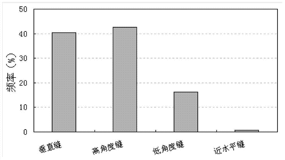 Period-divided and reason-divided prediction evaluation method of natural fracture in gas reservoir