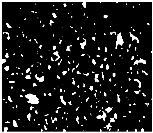 Alcoholism-preventing and liver-protecting cube sugar and preparation method thereof