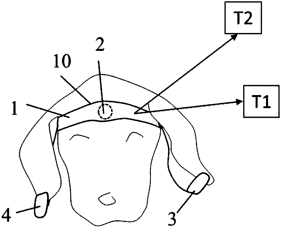 Animal-emotion electroencephalogram analysis device