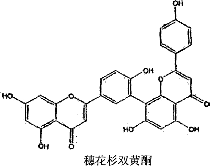 Method for supercritical fluid extraction of amentoflavone