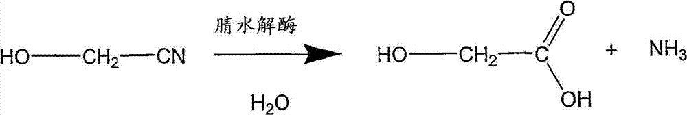 Enzymatic production of glycolic acid