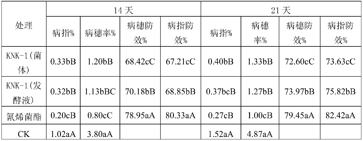 Bacillus methylotrophicu and application