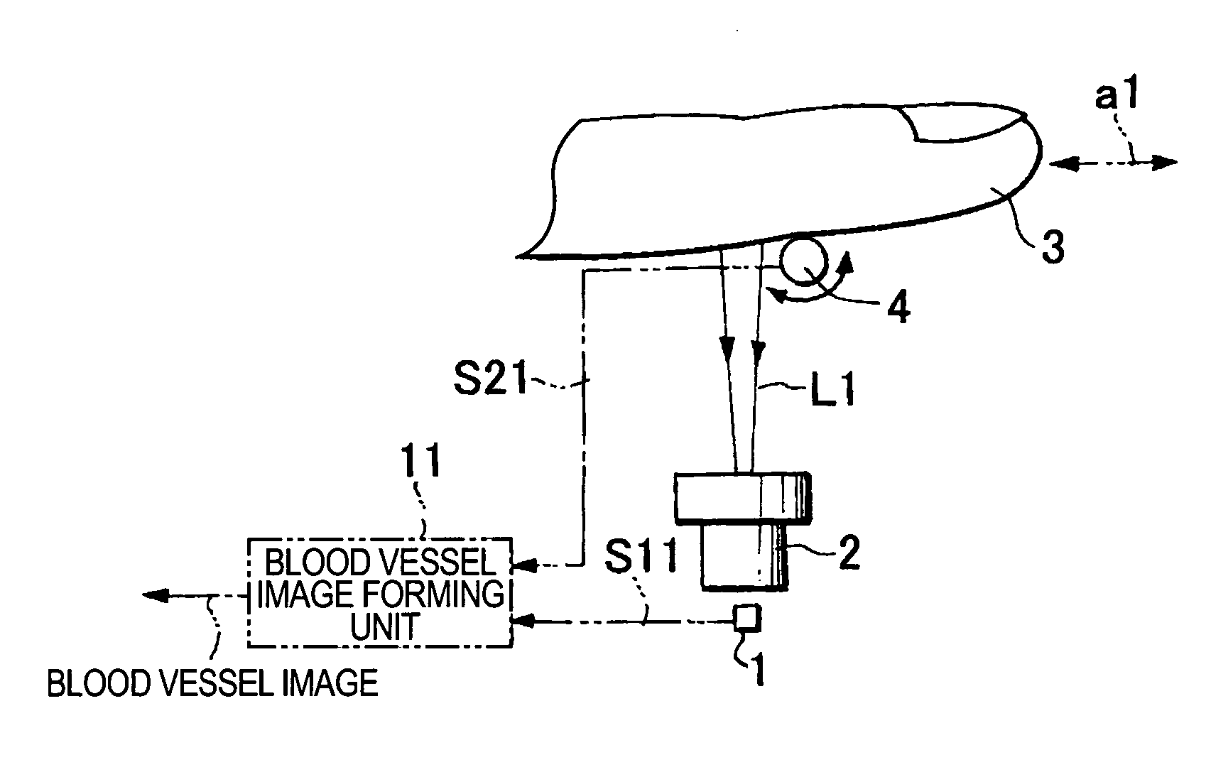 Image input apparatus and person authentication system using an image input apparatus