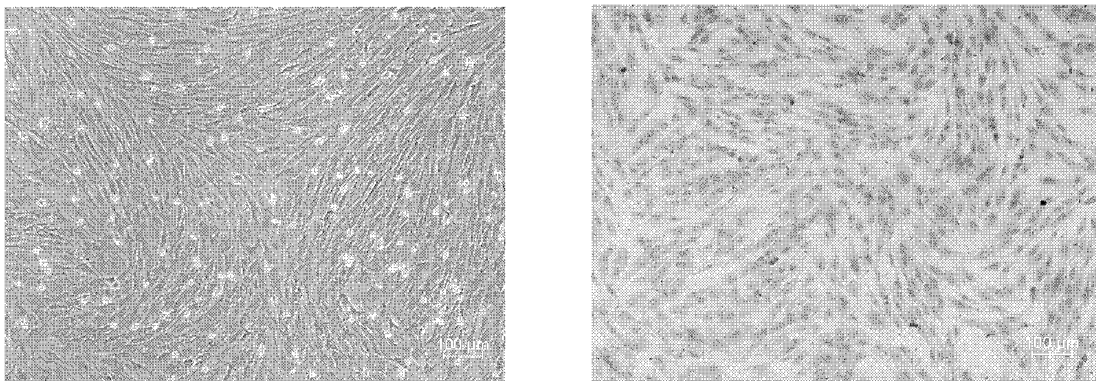 Method for inducing neural differentiation of stem cells