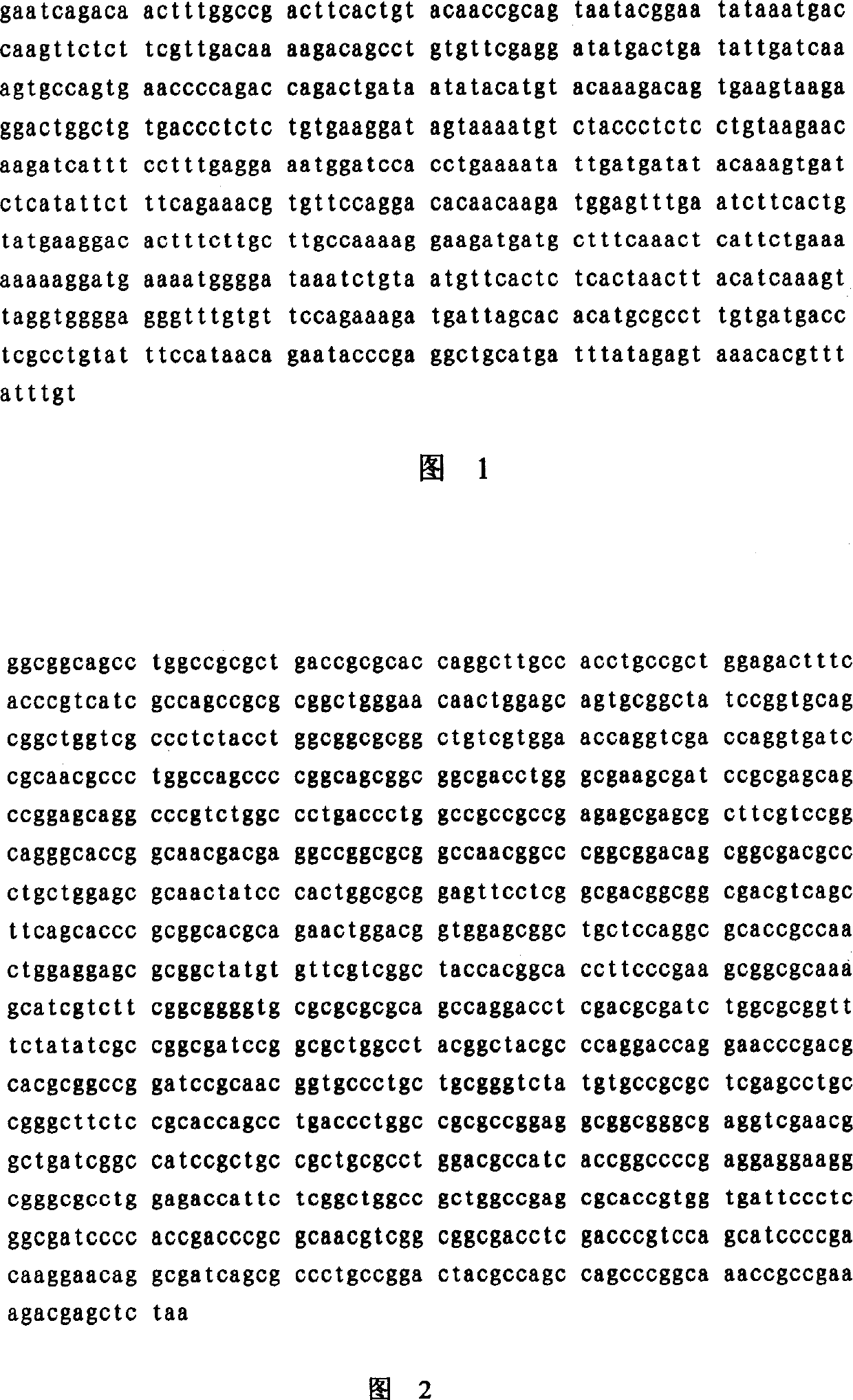 Reorganization immunity toxin with high specificity and its preparing method