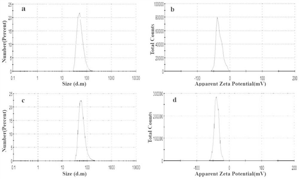 Molecular probe APT10-3.2-MZF-NPs for diagnosing prostatic cancer and preparation method of molecular probe APT10-3.2-MZF-NPs