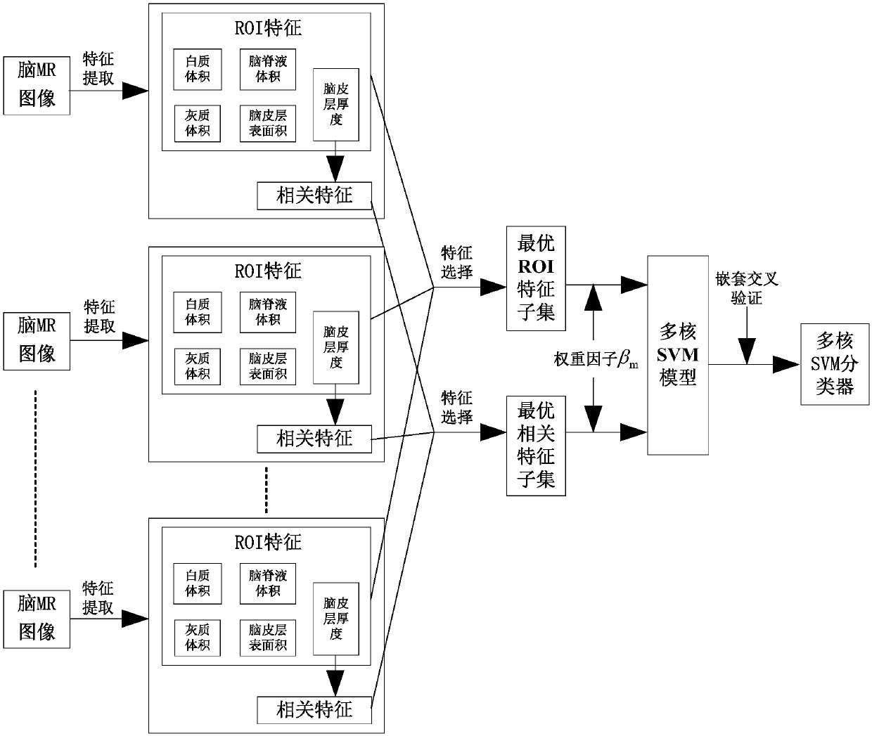 Multidimensional Feature Classification Method Based on Brain Magnetic Resonance Image