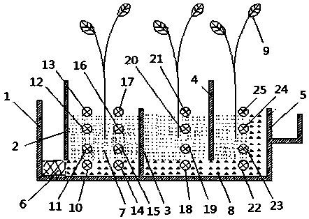 Method for treating sewage by utilizing constructed wetland convenient for water sampling