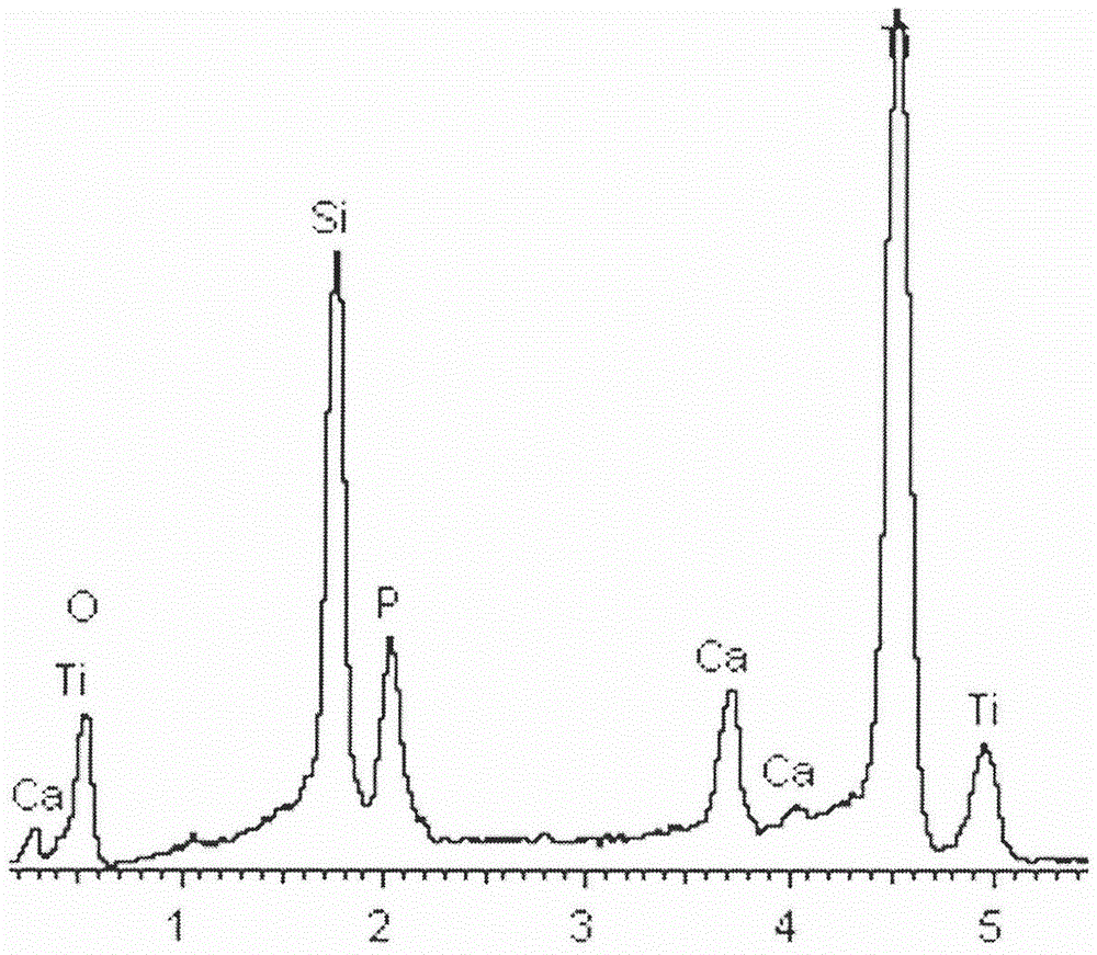 A silicon-doped porous nano-titanium oxide coating and its preparation method