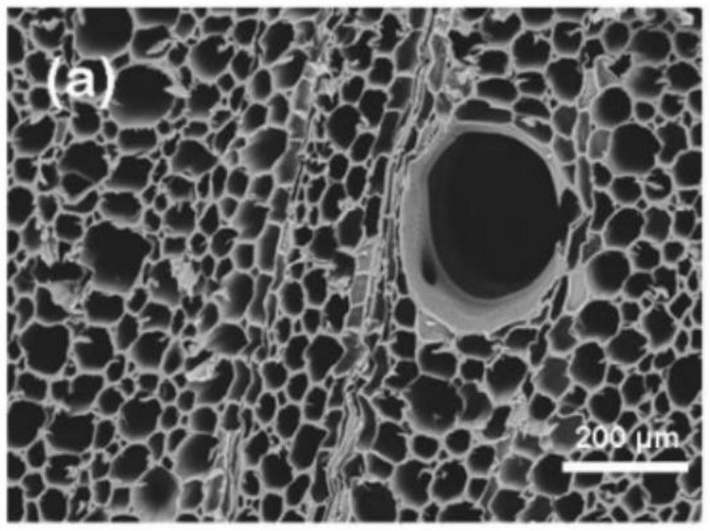 Preparation method of anisotropic heat-conducting phase-change energy-storage wood