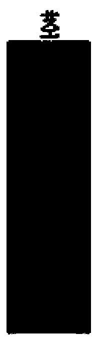 Sugar cane sucrose transport protein ShSUT3 and application of coding gene thereof