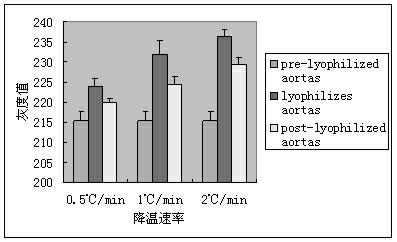 Porcine arterial vacuum lyophilization acellular matrix, as well as preparation method and application thereof