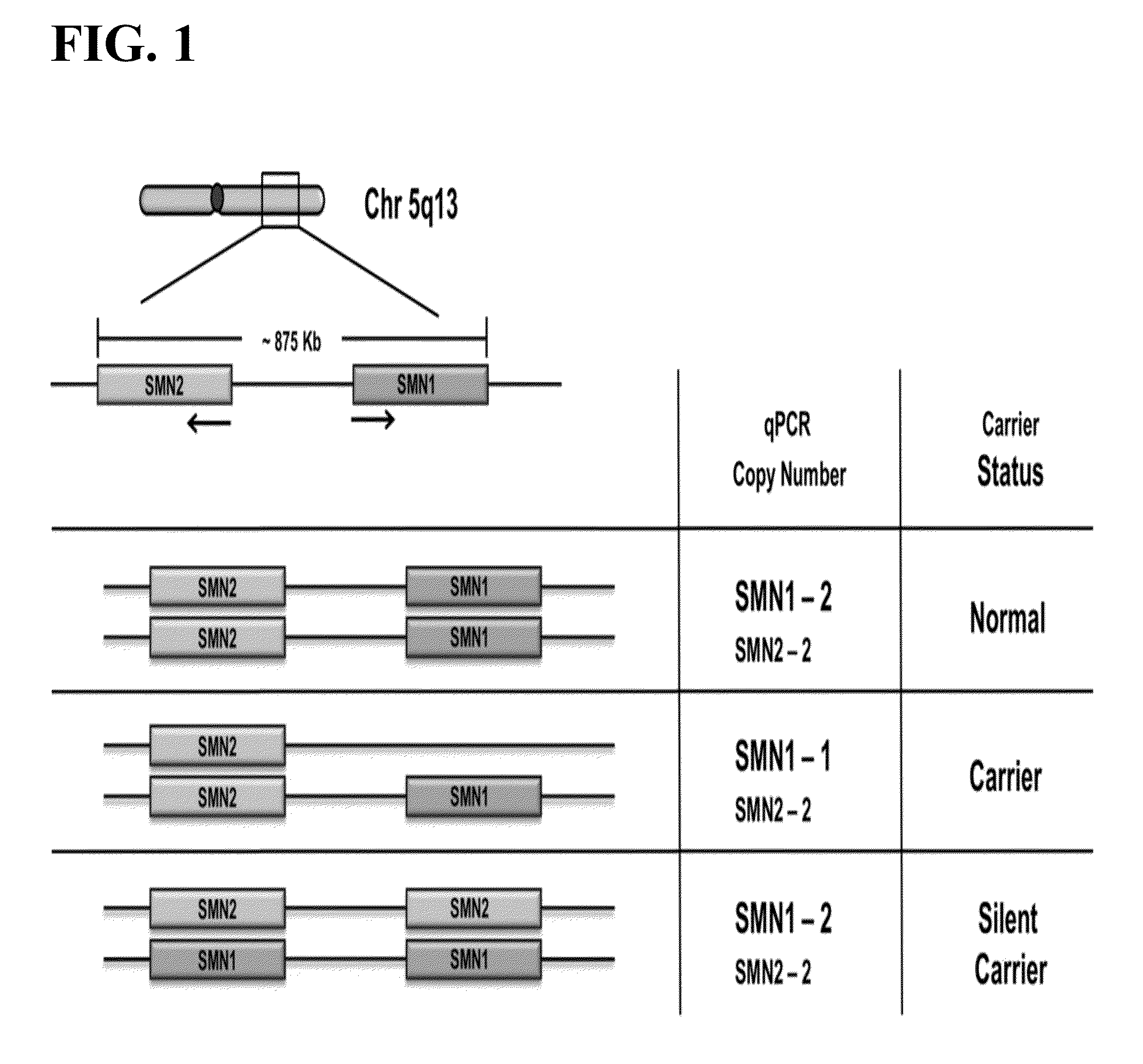 Methods to detect a silent carrier genotype