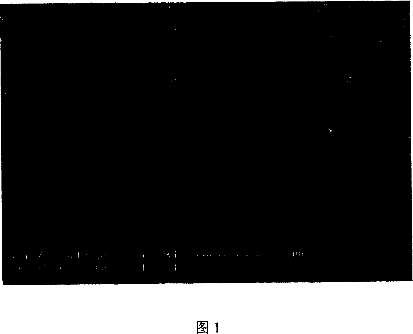 Method of preparing yttrium aluminium garnet fluorescent powder