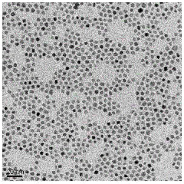 Preparation method of magnetic nanometer particles with adjustable and controllable particle diameter