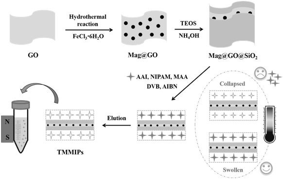 Preparation method of temperature-sensitive magnetic molecularly imprinted polymer for selectively separating and enriching aristolochic acid I