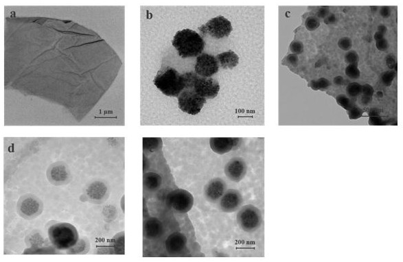 Preparation method of temperature-sensitive magnetic molecularly imprinted polymer for selectively separating and enriching aristolochic acid I