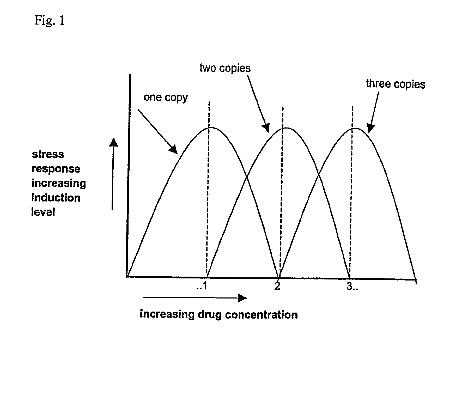 Identification of drugs and drug targets by detection of the stress response