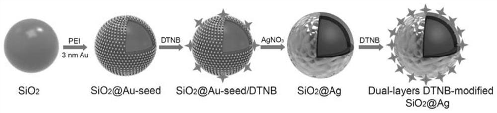 Double-layer Raman molecular marked silicon-core silver-shell composite nano label, preparation method and immunochromatography application