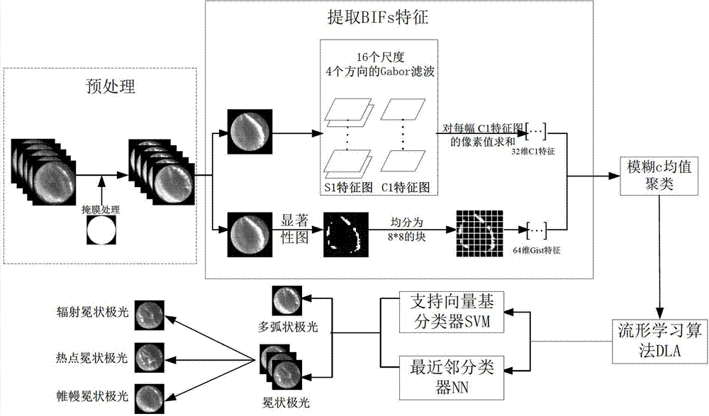 Aurora image classification method based on biological stimulation characteristic and manifold learning