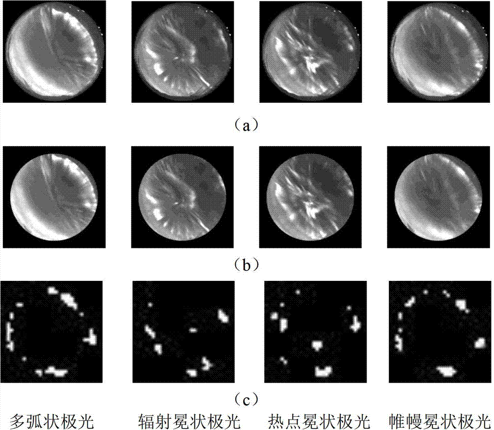 Aurora image classification method based on biological stimulation characteristic and manifold learning