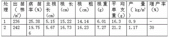 Biological soil conditioner for cultivation of ginseng