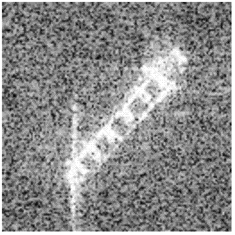 Method for identifying ship type according to high resolution synthetic aperture radar (SAR) image of ship