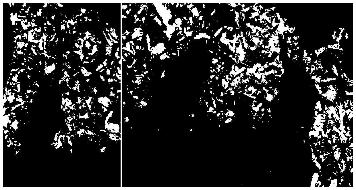 LGI 1 gene mutation and application thereof in preparation of temporal lobe epilepsy co-disease depression animal model