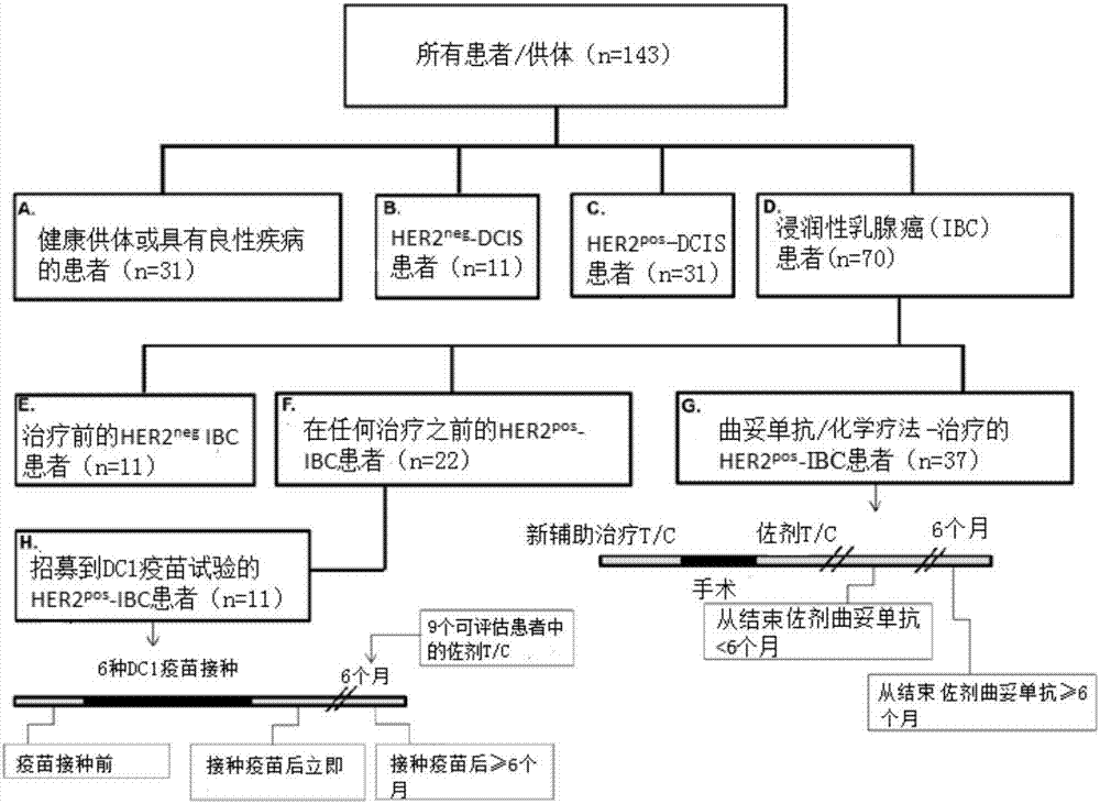 Methods for monitoring CD4+ T-helper type 1 response in cancer and immune restoration