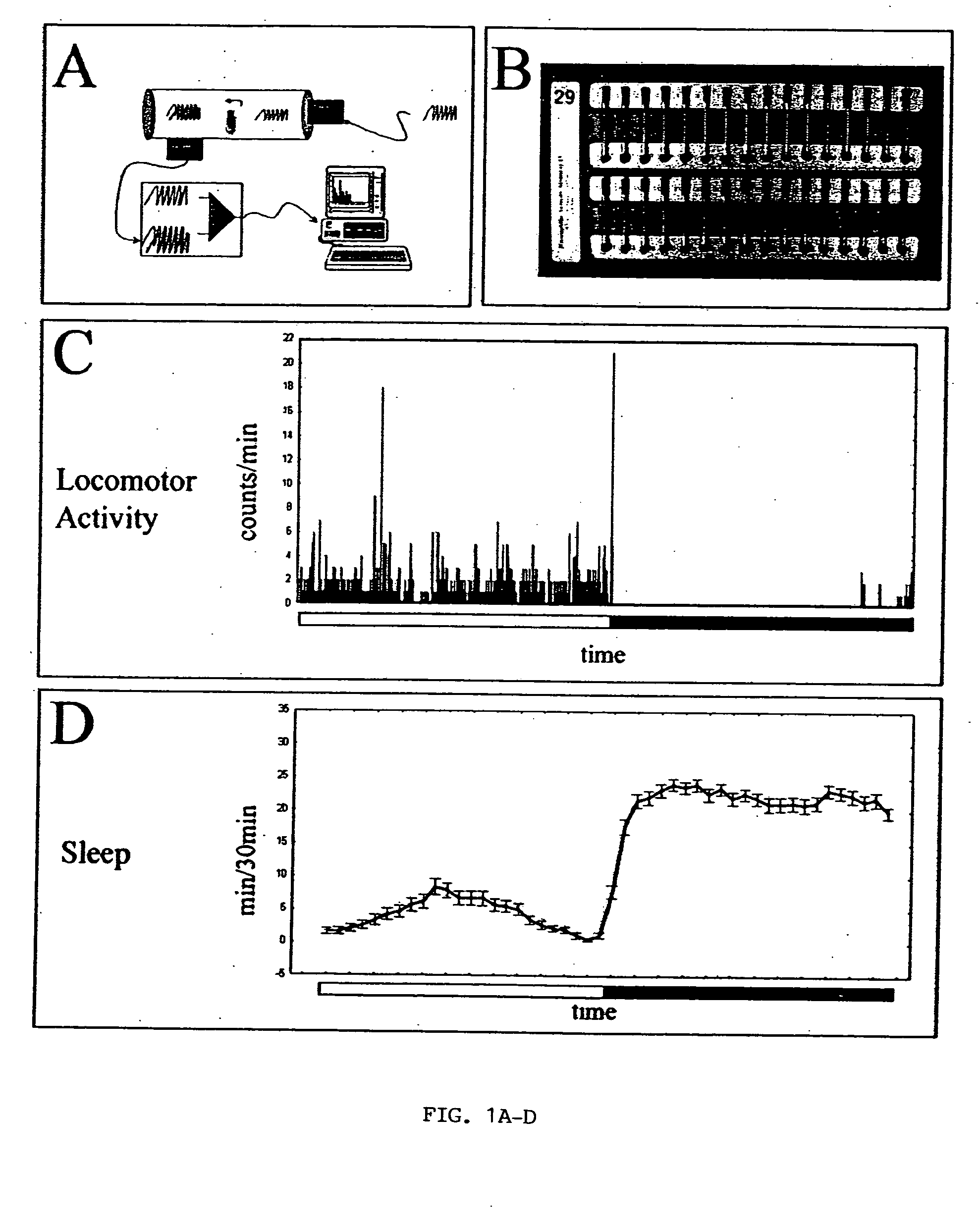 Sleep genes in Drosophila and their use for the screening, diagnosis and therapy of sleep disorders