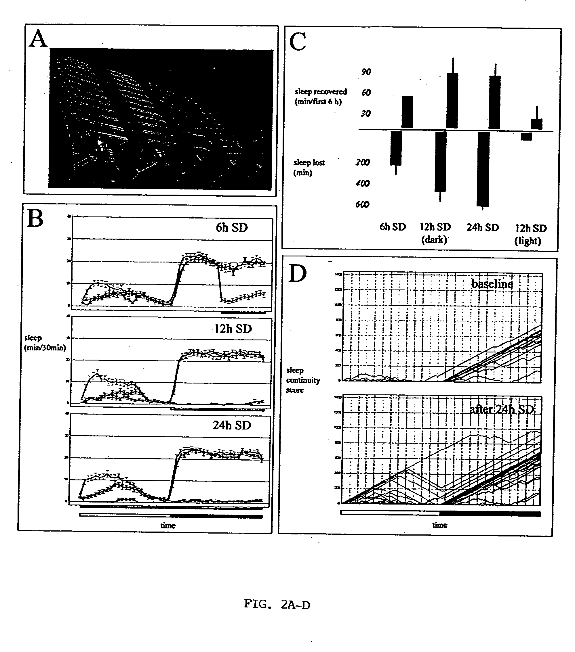 Sleep genes in Drosophila and their use for the screening, diagnosis and therapy of sleep disorders