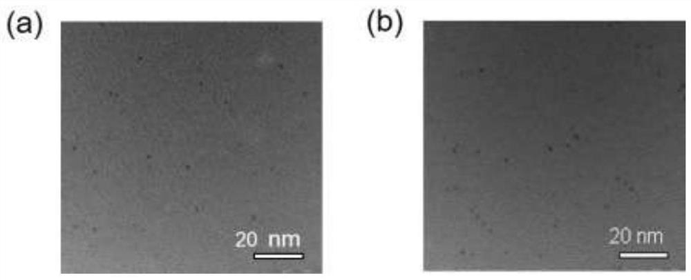 Method for quantifying protein abundance by taking metal cluster as artificial antibody