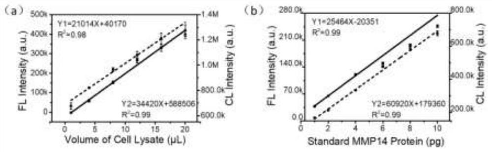 Method for quantifying protein abundance by taking metal cluster as artificial antibody