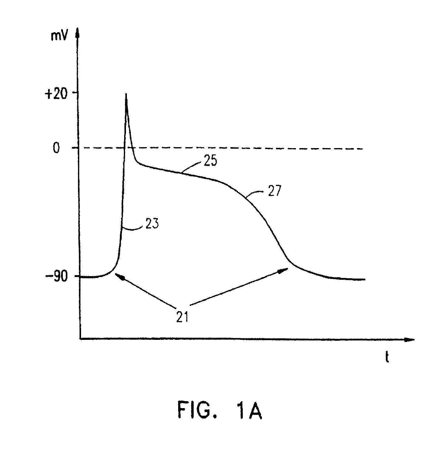 Electrical muscle controller