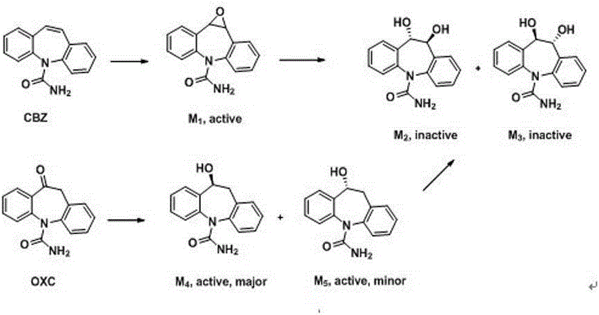 Brain-targeting eslicarbazepine ester prodrug and application thereof