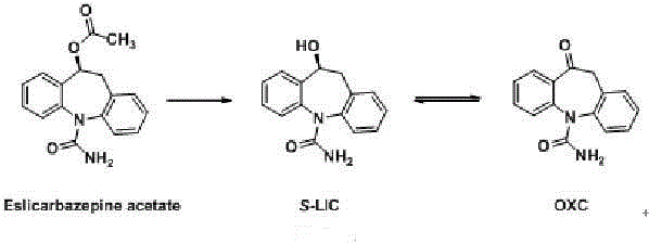 Brain-targeting eslicarbazepine ester prodrug and application thereof