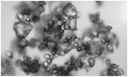 Method for preparing tetracarboxylic acid with regular crystal shape