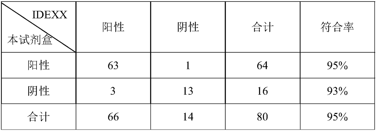 Magnetic micro particle immunofluorescence kit for quantitatively assaying classical swine fever virus antibody