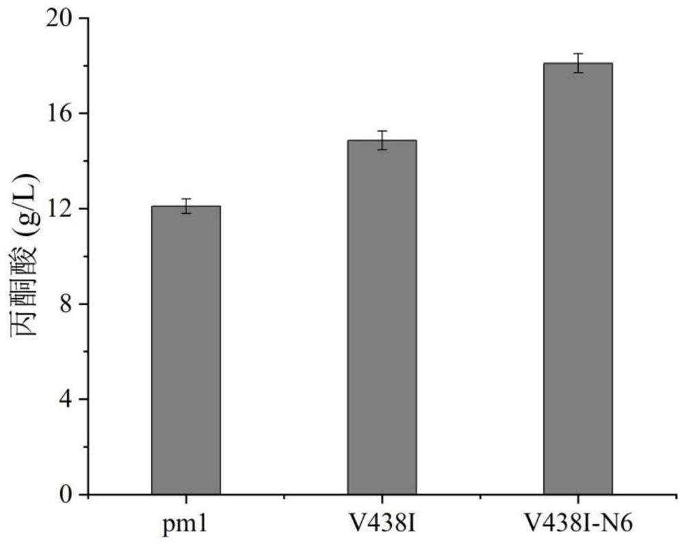 Engineering bacterium for efficiently synthesizing pyruvic acid and D-alanine and construction method and application of engineering bacterium