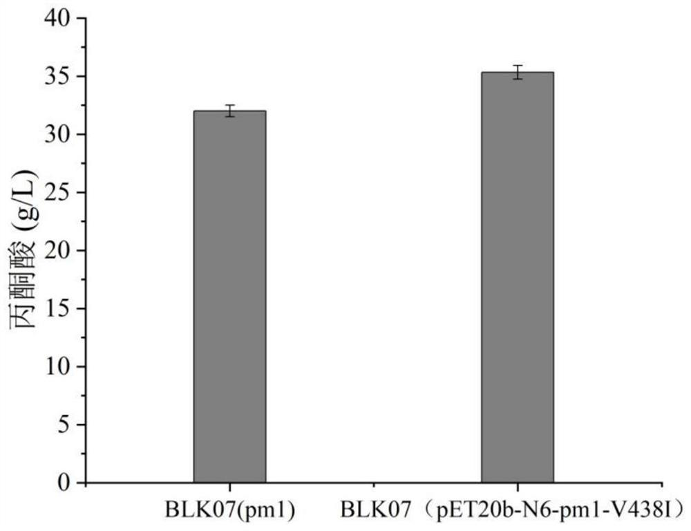 Engineering bacterium for efficiently synthesizing pyruvic acid and D-alanine and construction method and application of engineering bacterium