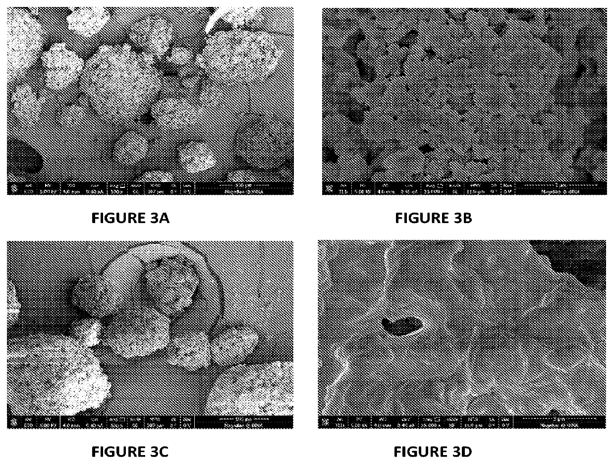 Compositions and methods for the treatment and prophylaxis of surgical site infections