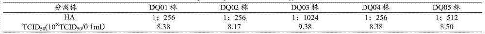 Chicken embryo fibroblast-adapted strain of goose paramyxovirus and its application