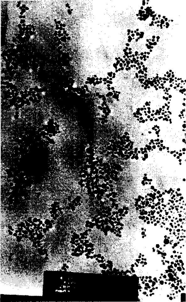 Liquid nanometer simple substance silver antibacterial agent and preparation method thereof