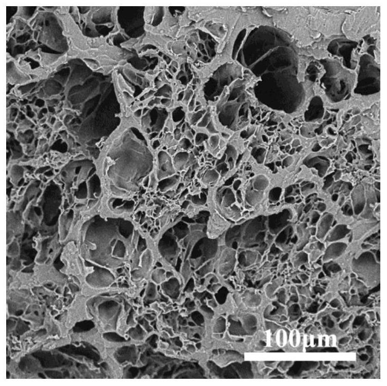 Preparation method of nicandra physaloides gum/polyvinyl alcohol composite hydrogel with porous structure