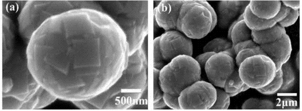 Micro/nano hierarchical titanium dioxide microspheres as well as preparation method and application thereof