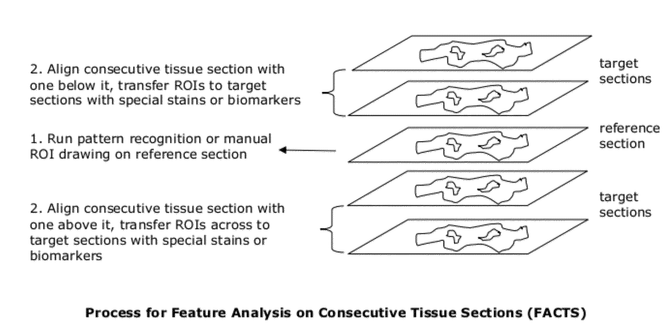 Methods for feature analysis on consecutive tissue sections