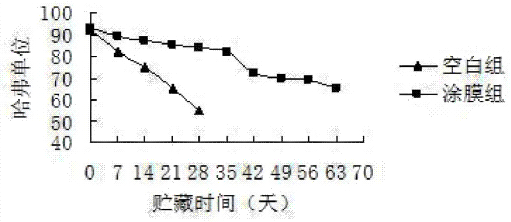 Method for preserving poultry egg by means of channel catfish skin enzymatic hydrolysate