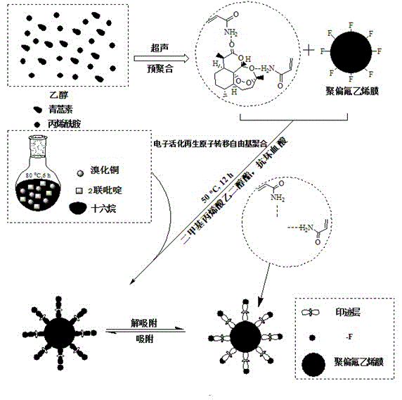 Artemisinin molecular imprinting film, preparation method and applications thereof